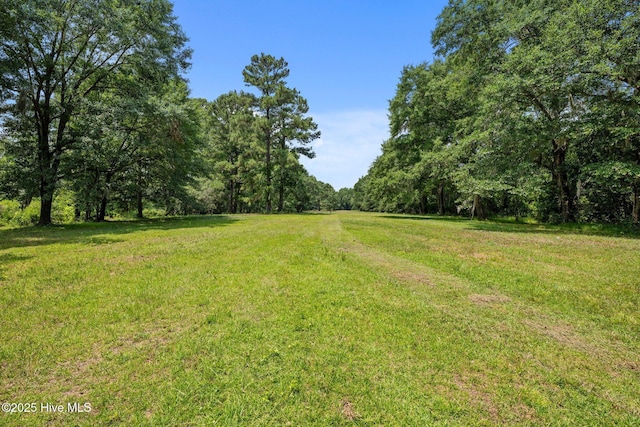 TBD Jenny Lisa Ln, New Bern, NC 28562 - view of grassy yard featuring a view of trees