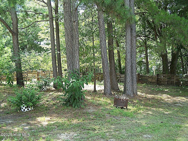 206 Community Rd, Eagle Springs, NC 27242 - view of yard