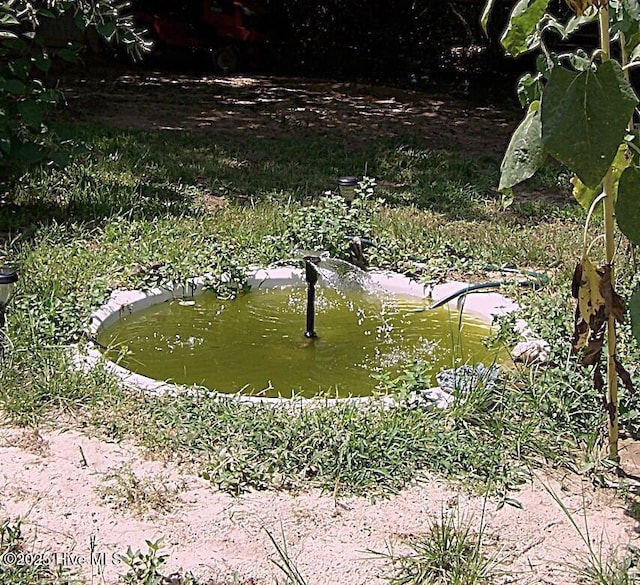 206 Community Rd, Eagle Springs, NC 27242 - view of yard featuring a garden pond