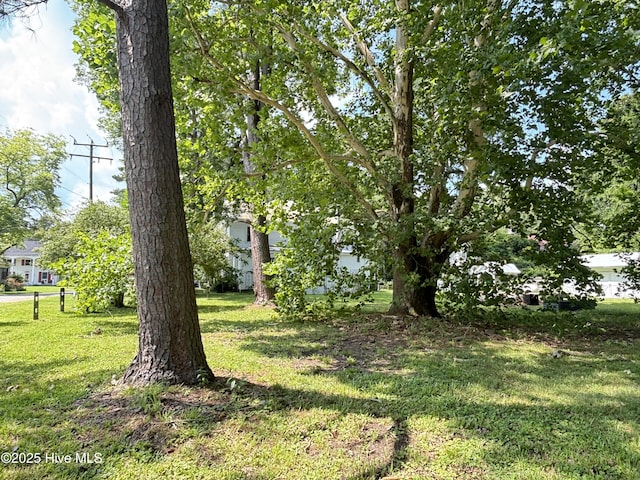 124 W Main St, Woodland, NC 27897 - view of grassy yard