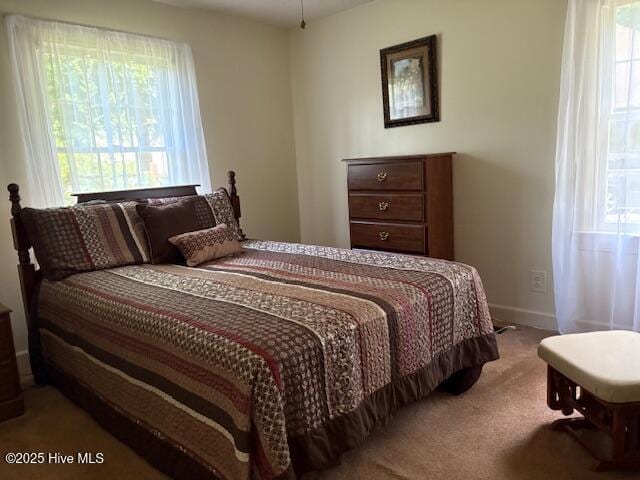 2904 Jason Dr, Rocky Mount, NC 27803 - carpeted bedroom with multiple windows
