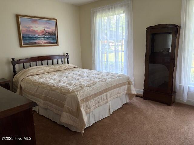 2904 Jason Dr, Rocky Mount, NC 27803 - bedroom featuring carpet