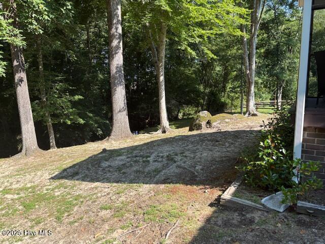 2904 Jason Dr, Rocky Mount, NC 27803 - view of yard