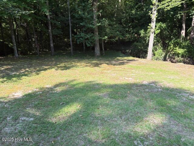 2904 Jason Dr, Rocky Mount, NC 27803 - view of grassy yard featuring a wooded view