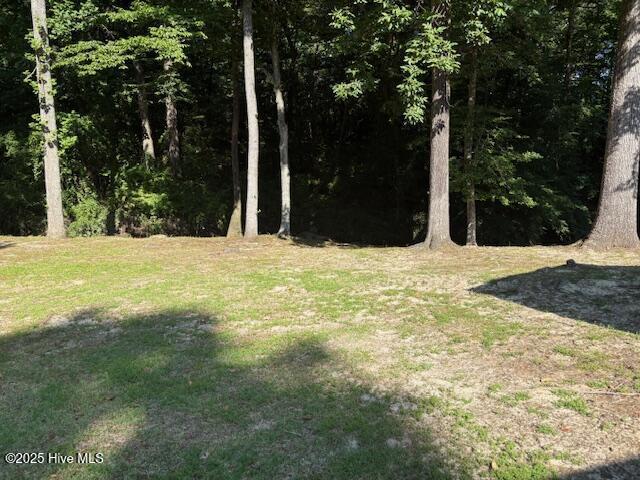 2904 Jason Dr, Rocky Mount, NC 27803 - view of grassy yard with a forest view