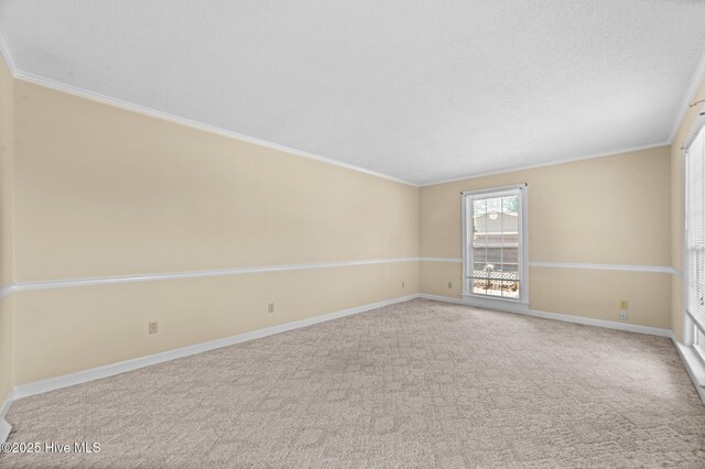 6715 Clarks Neck Rd, Washington, NC 27889 - carpeted empty room with ornamental molding