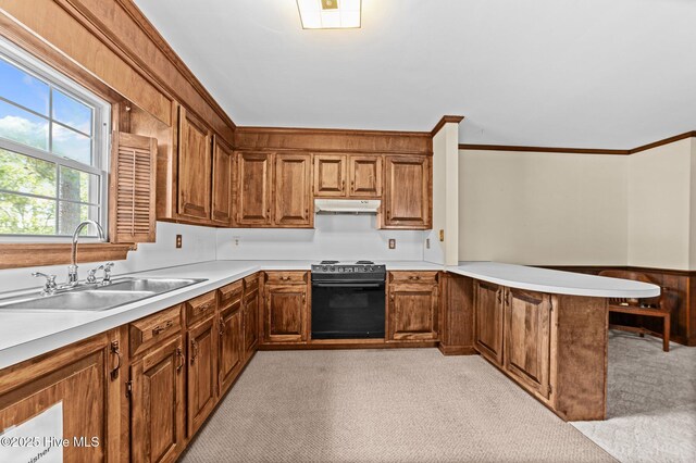 6715 Clarks Neck Rd, Washington, NC 27889 - kitchen featuring range with electric stovetop, light carpet, a peninsula, under cabinet range hood, and crown molding