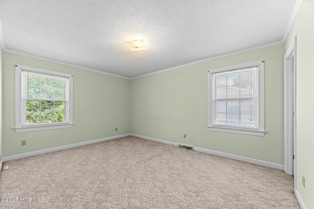 6715 Clarks Neck Rd, Washington, NC 27889 - spare room featuring a textured ceiling, ornamental molding, and carpet flooring