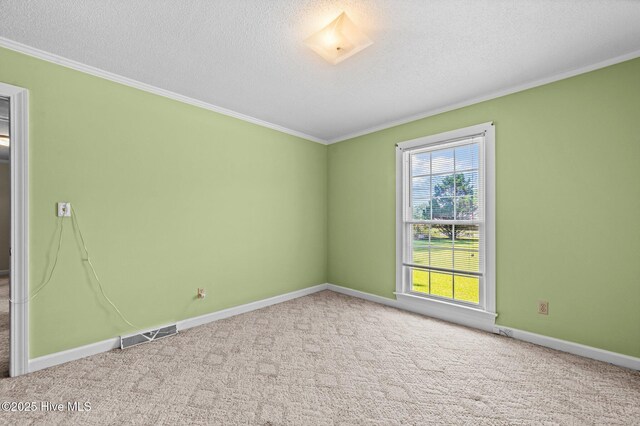 6715 Clarks Neck Rd, Washington, NC 27889 - unfurnished room featuring crown molding, a textured ceiling, and carpet floors