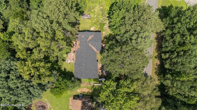 916 Corbitt Dr, Weldon, NC 27890 - drone / aerial view