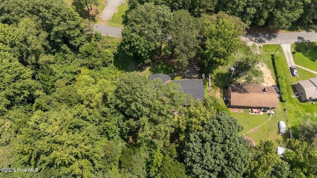 916 Corbitt Dr, Weldon, NC 27890 - drone / aerial view