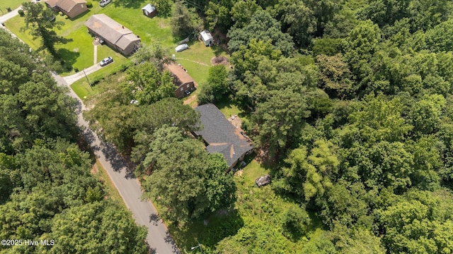 916 Corbitt Dr, Weldon, NC 27890 - aerial view of property's location