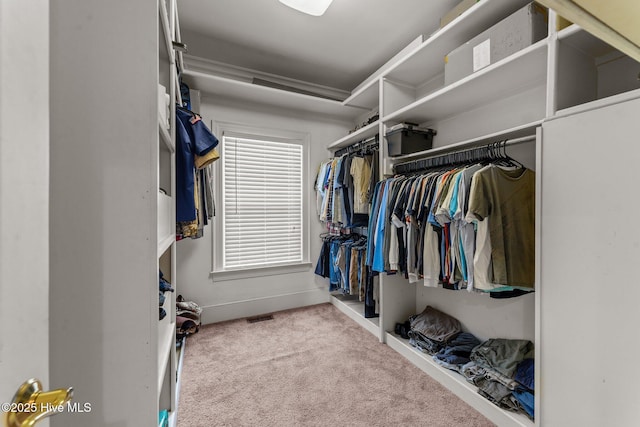 7264 NC-43, Macclesfield, NC 27852 - spacious closet featuring carpet floors