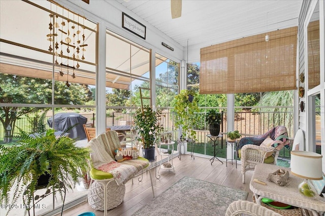 5198 Windlass Rd, Southport, NC 28461 - sunroom with a ceiling fan