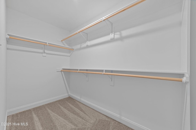 92 Hampton Way, Snow Hill, NC 28580 - walk in closet with carpet flooring
