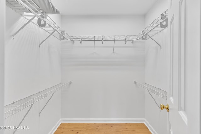 448 Edgewood & Rd, Southport, NC 28461 - spacious closet with light wood finished floors