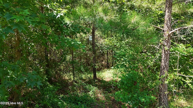 LOT4 Longwood Rd NW Unit 4, Longwood, NC 28452