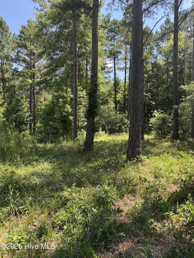 244 Rascob Rd, Sanford, NC 27330