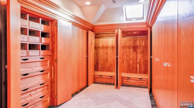 spacious closet with lofted ceiling