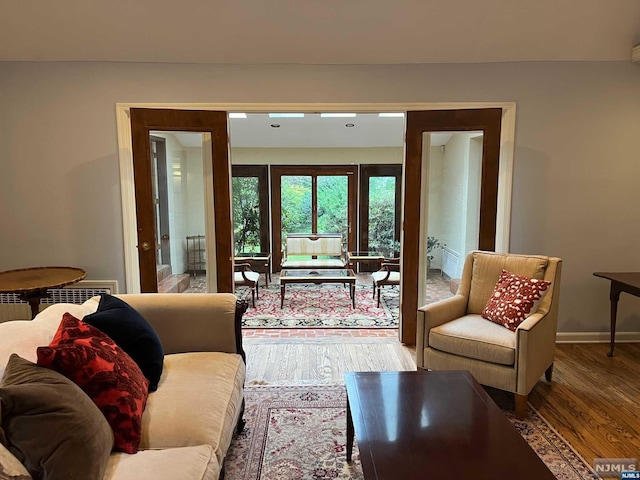 living room featuring wood-type flooring