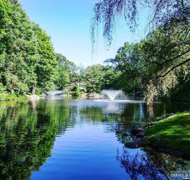 view of water feature