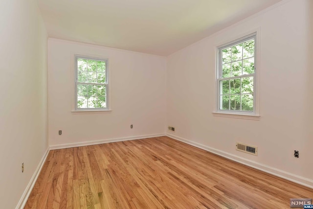 spare room featuring light wood-type flooring and plenty of natural light