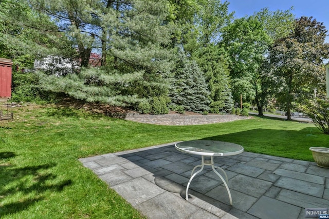 view of yard with a patio area