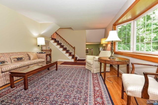 living room with wood-type flooring