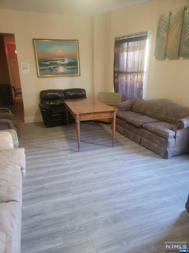 living room featuring light wood-type flooring