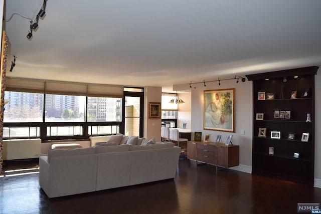 living room featuring dark wood-type flooring