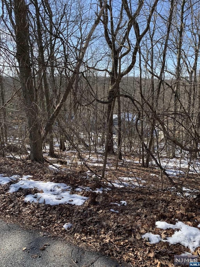 43 Hampton Rd, West Milford NJ, 07421 land for sale