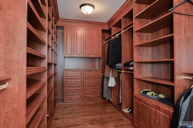 spacious closet featuring dark hardwood / wood-style flooring