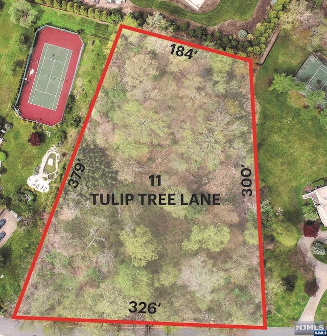 11 Tulip Tree Ln, Alpine NJ, 07620 land for sale