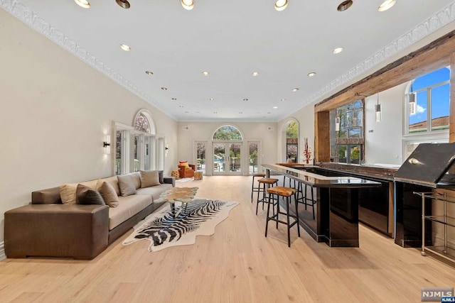 living room with light hardwood / wood-style floors