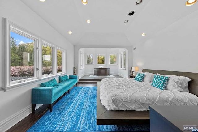 bedroom with dark hardwood / wood-style flooring and vaulted ceiling