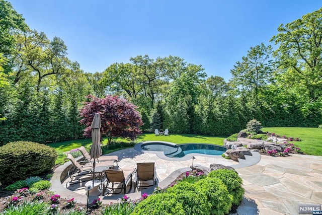 view of swimming pool featuring a lawn and a patio