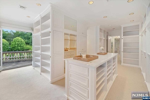 spacious closet with light colored carpet