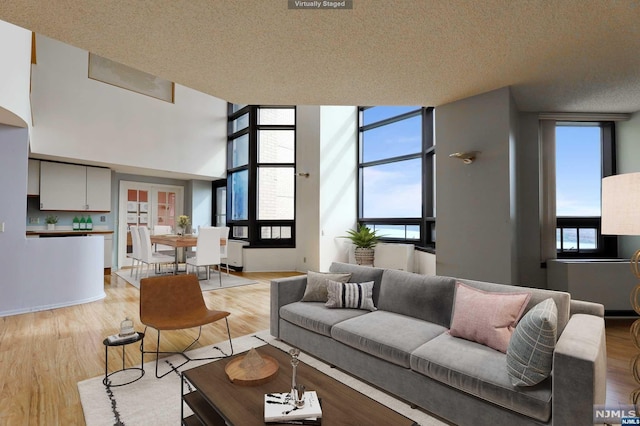 living room with a textured ceiling and light wood-type flooring