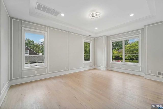 spare room featuring light hardwood / wood-style floors, a wealth of natural light, and a tray ceiling