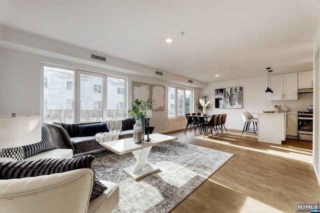 living room with light hardwood / wood-style flooring