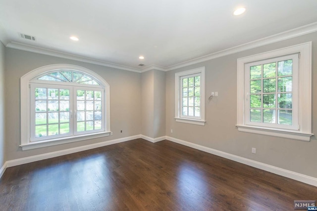 spare room featuring plenty of natural light and ornamental molding