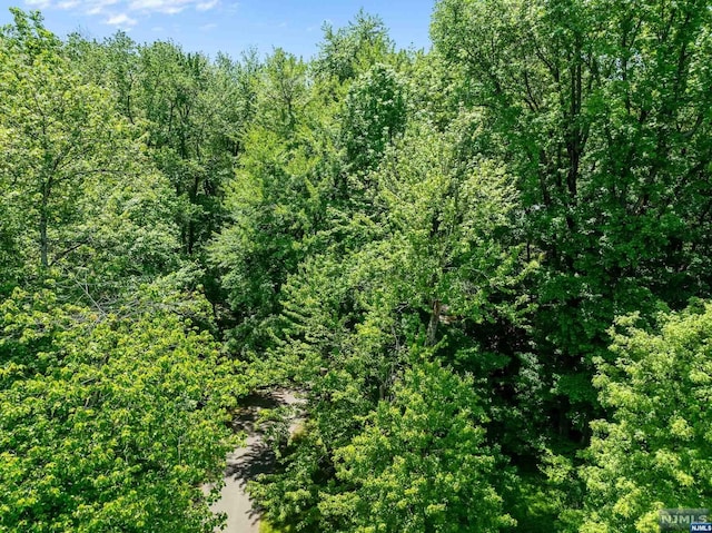 view of local wilderness