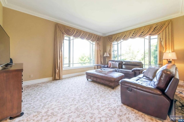 living room featuring carpet flooring and crown molding