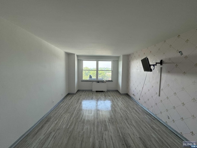 spare room featuring wood-type flooring