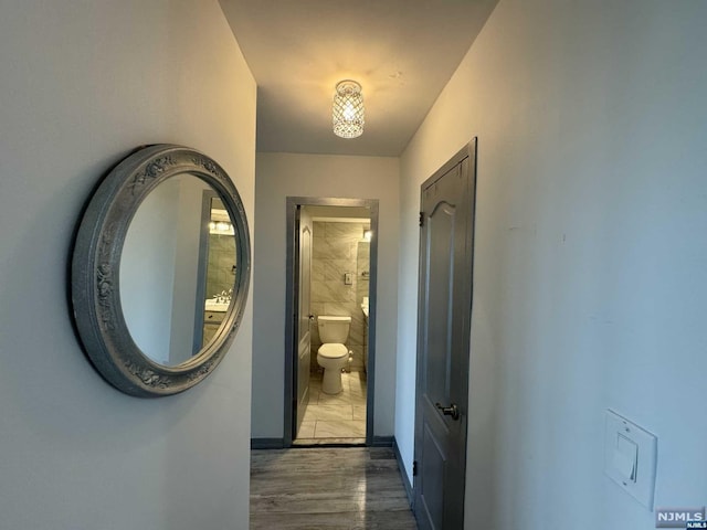 hall with dark hardwood / wood-style floors