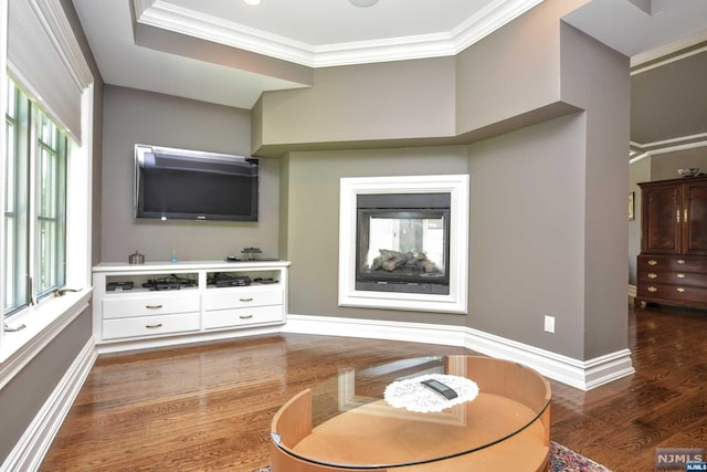 interior space featuring crown molding and dark wood-type flooring