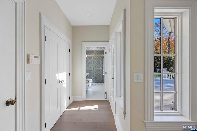 hallway featuring dark hardwood / wood-style floors