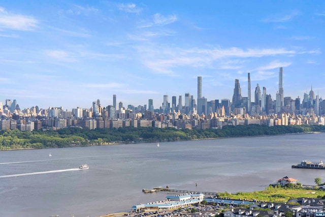 view of city featuring a water view