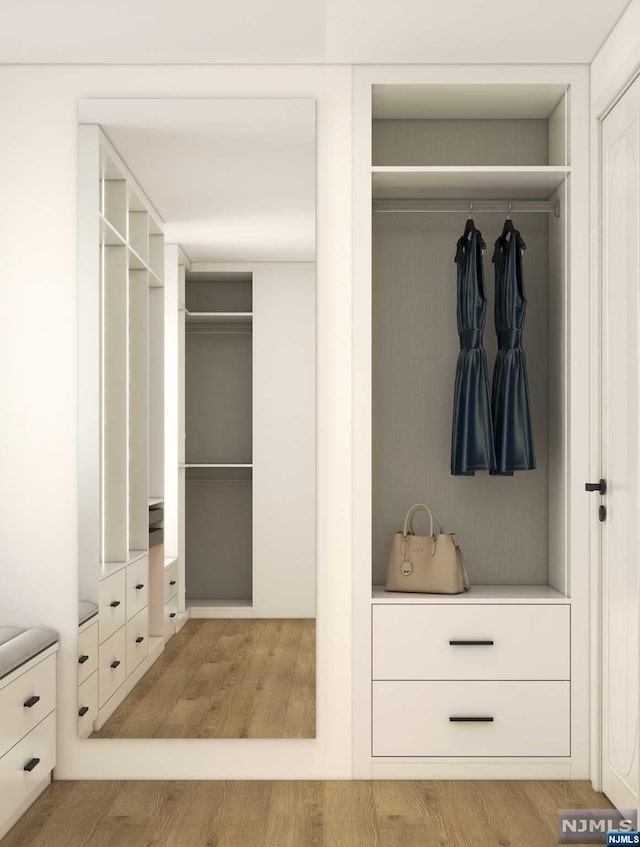 view of closet