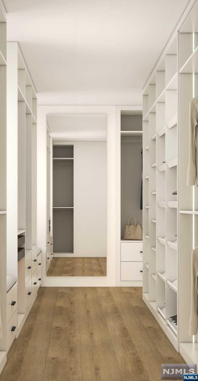 spacious closet featuring hardwood / wood-style flooring